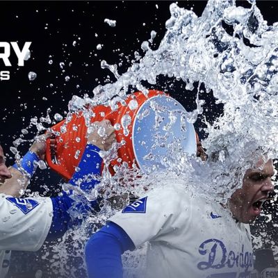 baseball fight for glory