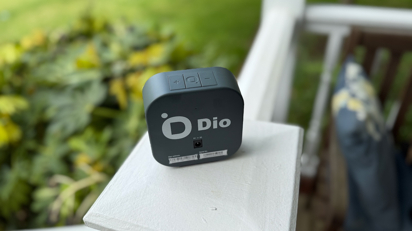 dio node single rear