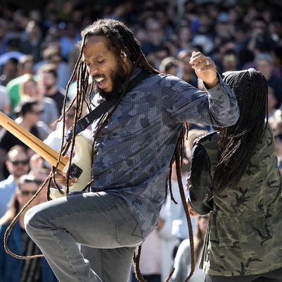ziggy marley apple beer bash